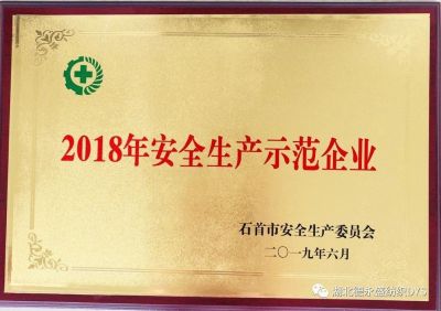 德永盛纺织2018年安全生产示范企业